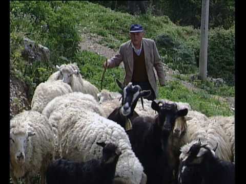 Tsopanis song