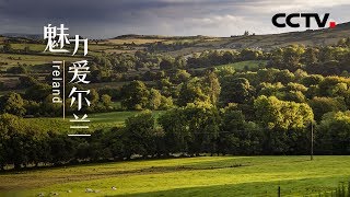 【Eng Sub】《魅力爱尔兰》Ireland 翡翠岛国的奇幻之旅 | CCTV纪录