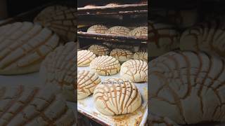 He runs Chicago’s oldest Mexican bakery