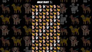 magic black 🐈‍⬛ #magic #facts #riddles