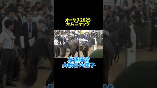 カムニャック優勝で大歓喜の友道陣営とシュタルケ騎手！ 金子オーナーの様子も #競馬  #shorts #オークス