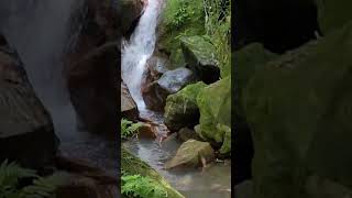 陽明山絹絲瀑布.雪白絹絲在樹林間傾流直下！美極了請訂閱