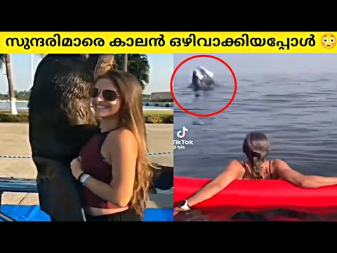 കാലൻ തിരിഞ്ഞുനോക്കാത്ത വനിത |ഞെട്ടിക്കുന്ന രക്ഷപ്പെടലുകൾ most luckiest moments |90sKID|Unbelievable