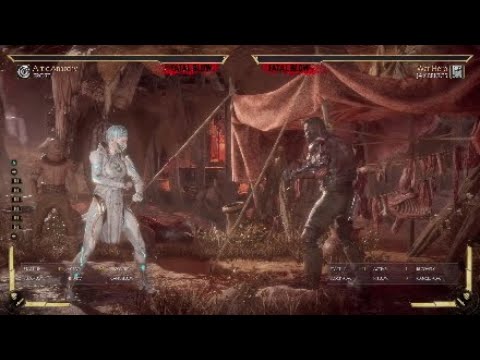 Mortal kombat 11 Frost Arctic anarchy