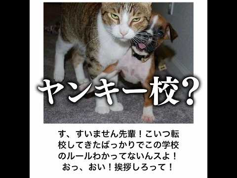 【いくら→鮭】殿堂入りボケてがマジでツッコミどころ満載だったwww 【1596弾】