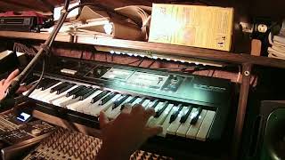 ROLAND VP550