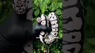 Thinking About a Pet Snake? Start with This One | #ballpython #shorts