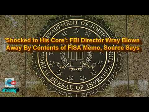 'Shocked to His Core'  FBI Director Wray Blown Away By Contents of FISA Memo, Source Says