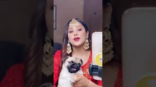 Instagram Punjabi Reels || Tik Tok Video Punjabi ||