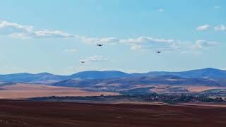 STM | Sürü Drone Saldırısı