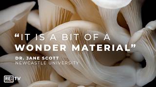 Building A Waste-Free Future With Mycelium