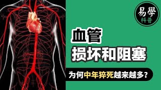 为什么有些人的血管会未老先衰？