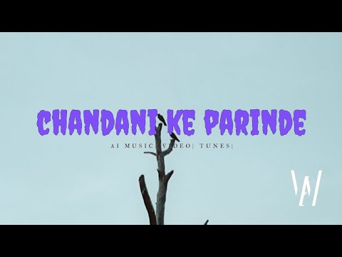 Chandani ke parinde | AI song | emotional romantic | (official music video)