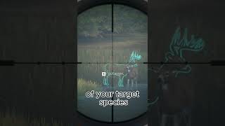 Herd Management Explained in 30 Seconds