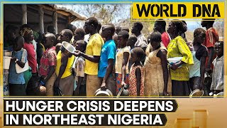 Hunger Deepens as Farmers in Conflict-Ridden Northeast Nigeria Struggle to Survive |  World DNA