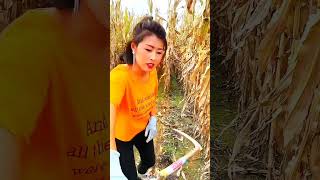 New Farming Tool Practical😱😱 used in CornツM Field by Rural Farmer #shorts#youtubeshorts
