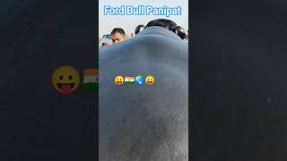 Foji Fojan Song #fojifojansong#virelsongs #ytshorts #murrhabuffalo #chandfordbull#cows #kdfa#bull