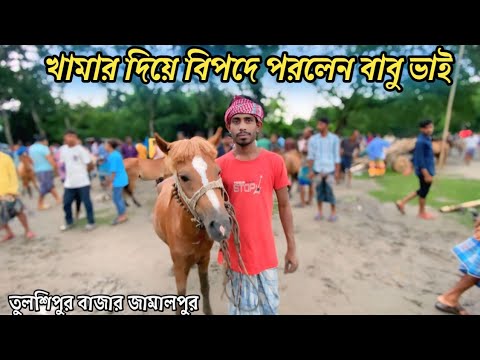 ঘোড়ার খামার দিয়ে দরা খাইলেন জামালপুরের বাবু ভাই।।