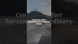 Sow Seeds of Consistent Effort