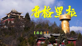 疫情对旅游业的打击有多大！《云南》第五集