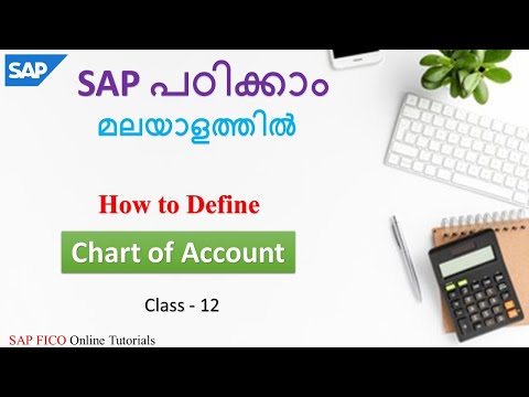 How to Create Chart of Accounts in SAP | General Ledger | Class -12