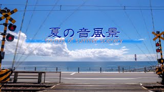 夏の音風景(sounds of summer scenery)湘南の夏（4K_Timelapse）