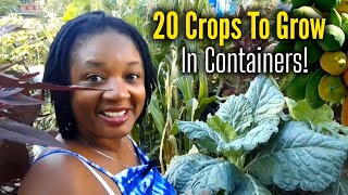 Top 20 CROPS To Grow IN CONTAINERS! Unbelievable The Varieties of Vegetables Growing In Containers