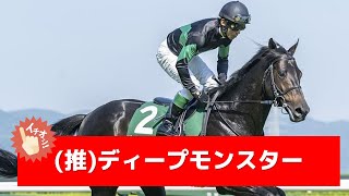 追い切り徹底解説！【小倉記念2025】メリオーレム、ハピなどの状態はどうか？調教S評価は3頭！