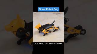 Bionic Robot Dog | Petoi Bittle #shorts #youtubeshorts #viralshorts #robot #robotpet #robot_dog
