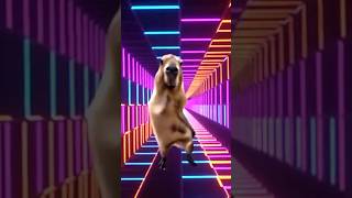 Capybara who can dance polyai,poly.ai,poly ai #polybuzz #polyai#capybara #apt