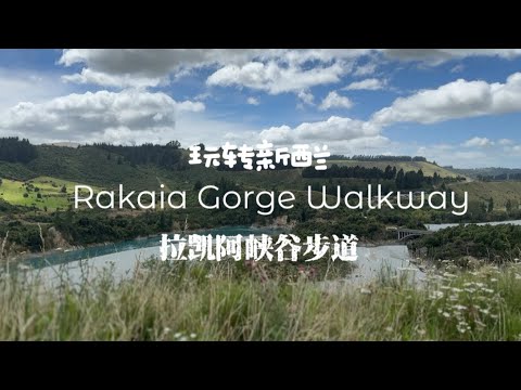 Rakaia Gorge Walkway｜山高水长鲜花满路｜玩转新西兰