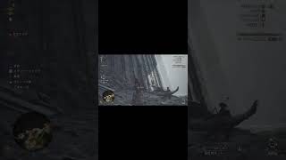 【MHWs】キョムドンの場所#モンスターハンターワイルズ #キョムドン