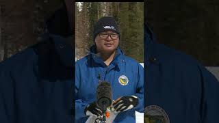 California Snowpack at 177% of Average: Record-breaking Year?