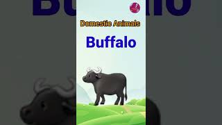 #babystudy #nursery #forkids #elementary #domasticanimals