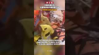 中国救援队搜救出8名幸存者