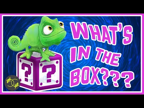 Unboxing new reptiles - Cookies Critters