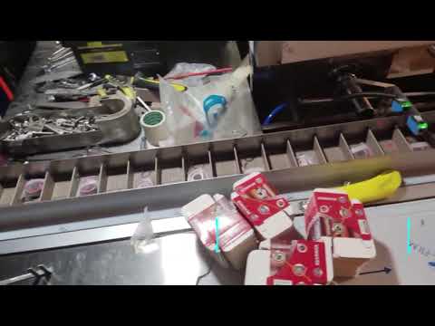Hardware & Bearing Packaging Solution | Fully Auto Cartoner with Feeder System