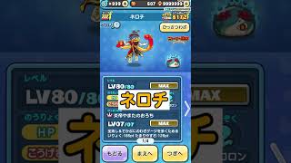 ぷにぷに 新イベントバグ発生中!!