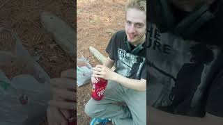faygo redpop and ashcoc review