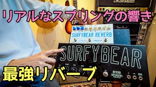 プロも唸るリバーブ🎸 大型タンク vs コンパクト 比較レビュー Surfy Industries Surfybear Metal Reverb / Compact Deluxe
