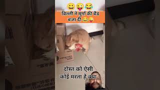 #funny #hen #comdeymemes #funnyimages #cat #comedy #fun #memeclip #comedyfilms #comedymove #viralvid