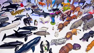 Takara Tomy Sea Animals & Wild Animals - Lion, Tiger, Zebra, Orca, Shark, Whale, Seal, Penguin