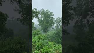 #dil meri na suna #song #hindisong #music #nature #rain #travel #love #rainsong