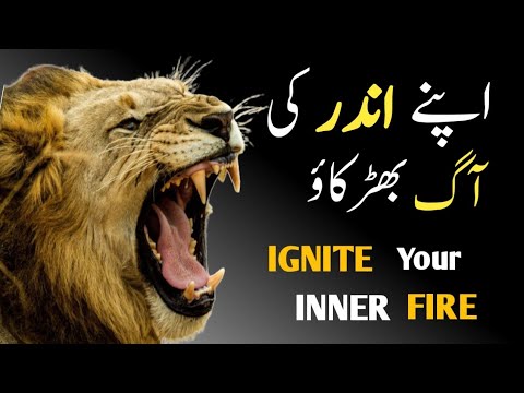 NO EXCUSES ANYMORE | Best motivational video in Hindi | motivational speech in Hindi and Urdu