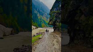 #shortvideo #viralvideo #2023 #wild #beauty #wild-tech nature #shortfeed #shorts #nature #kashmir