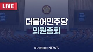 더불어민주당 의원총회 [LIVE] | 대구MBC 2025년 2월 27일