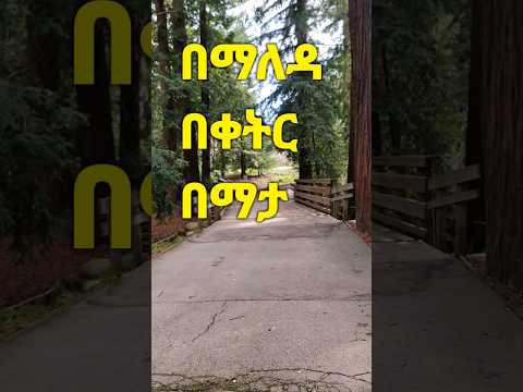 ክበር ጌታ # mezmur by Singer Azeb Hailu #youtube #ethiopia #youtubeshorts #amharic #youtuber #ethiopian