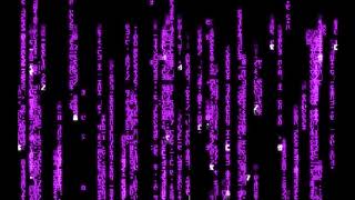 DANAX 1996 - THE CODE LIFE  DOMINICIA MILA  96:2018 - BELFAST SECTIONED UNDER THE MENTAL HEALTH ACT.