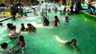 mandi manda...pekan nanas pontian