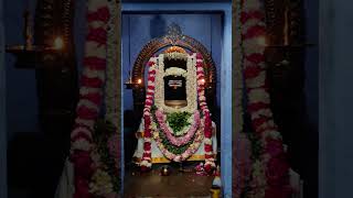 shivan Kovil last five days pooji.om namashiva #shivan